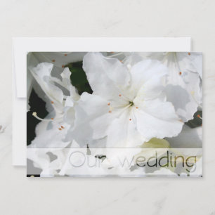 White Azalea Wedding Save the Date  Personalise it Invitation