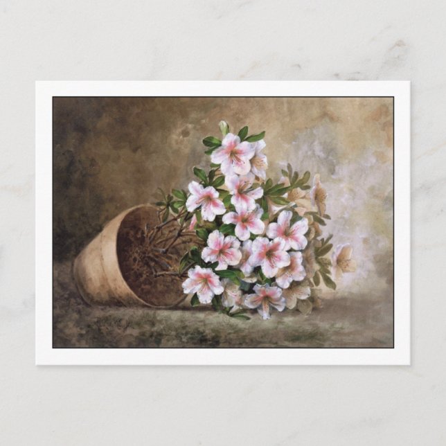 White Azaleas Fine Art Still Life Paul de Longpre Postcard (Front)