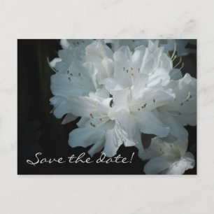White Azaleas Save the Date Postcard