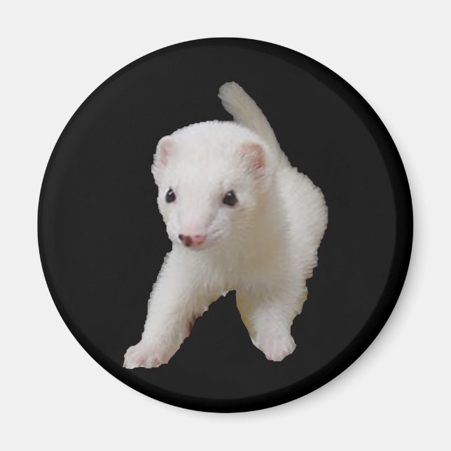 White Baby Ferret Magnet (Front)