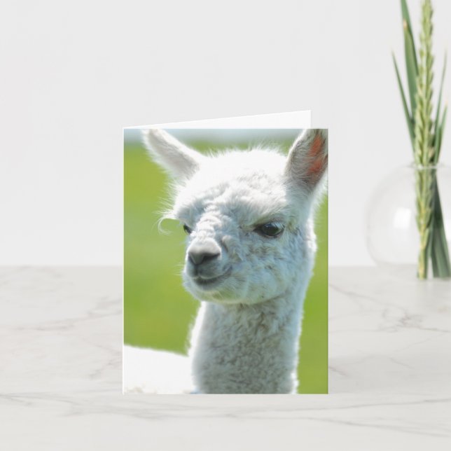 White baby girl card (Front)