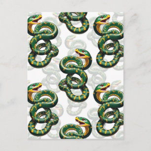 White Background Snake Pattern Design  Postcard