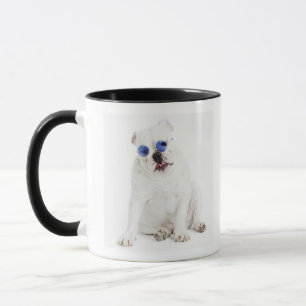white background, white bulldog, blue tinted mug
