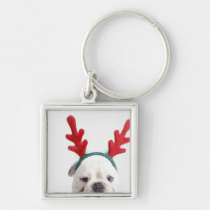 white background, white male bulldog, red key ring