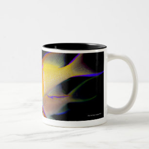White Bar Anthias Two-Tone Coffee Mug