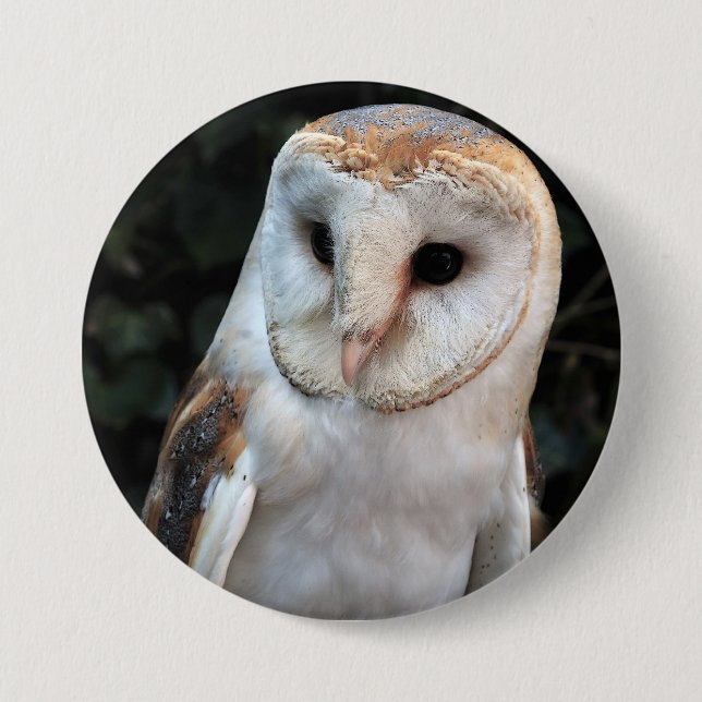 White Barn Owl 7.5 Cm Round Badge (Front)