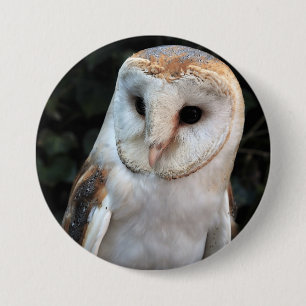 White Barn Owl 7.5 Cm Round Badge