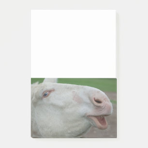 White Baroque Donkey Post-it Notes