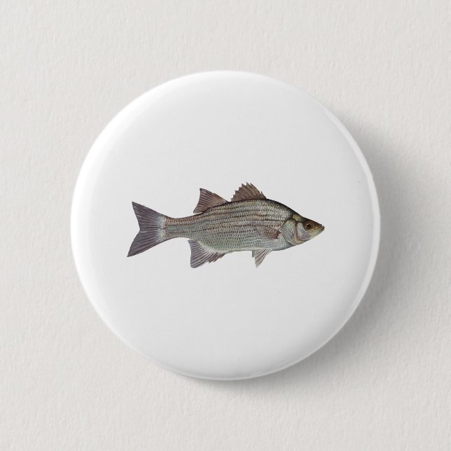 White Bass Logo 6 Cm Round Badge (Front)