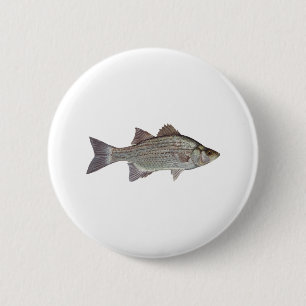White Bass Logo 6 Cm Round Badge