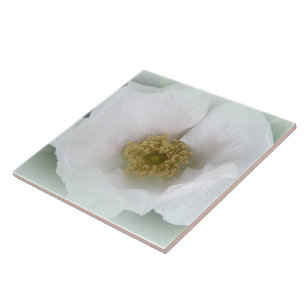 White Beach Rose - Rosa rugosa Tile