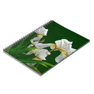 White Bearded Iris Blossoms Notebook