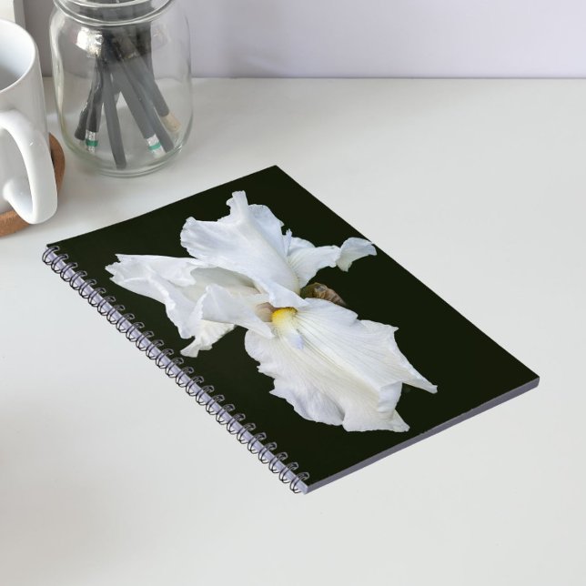 White Bearded Iris on Black Background Notebook (In Situ)