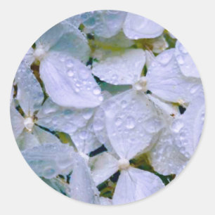 White Beauty Classic Round Sticker