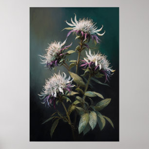 White Bee Balm Flower Art Print Poster