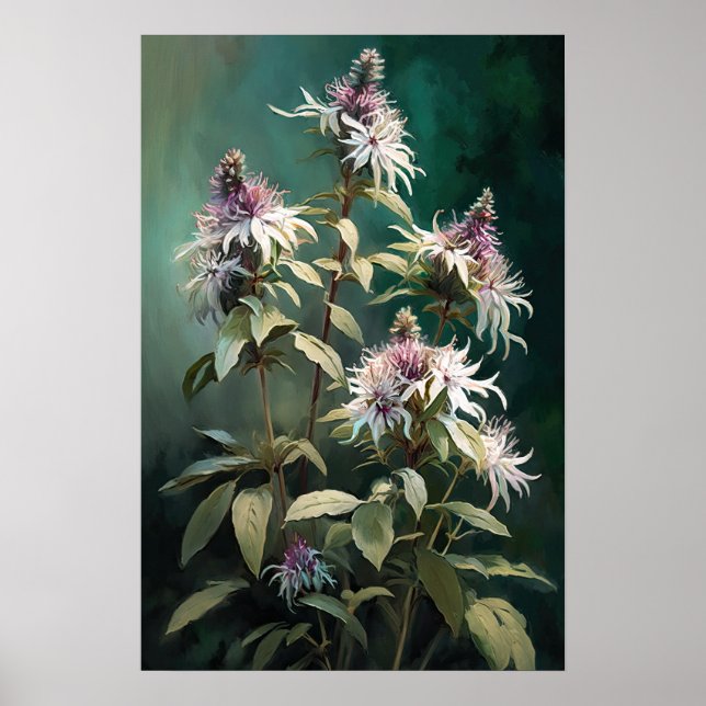 White Bee Balm Flower Art Print Poster (Front)