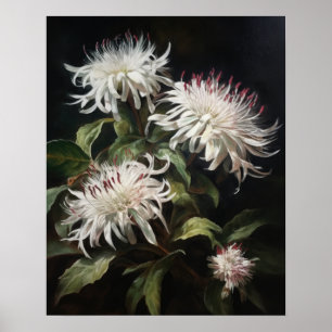 White Bee Balm Flowers Art Print Poster