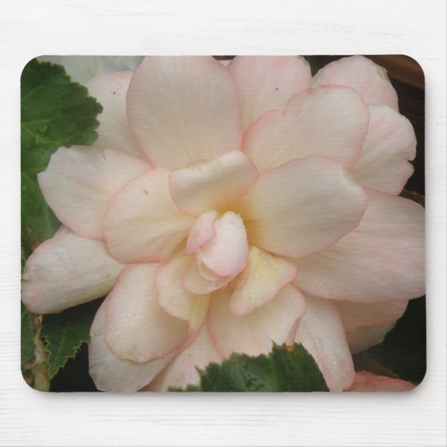 White Begonia Flower Mousepad (Front)