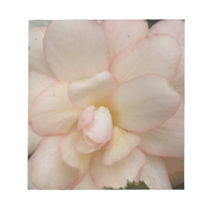 White Begonia Flower Notepad