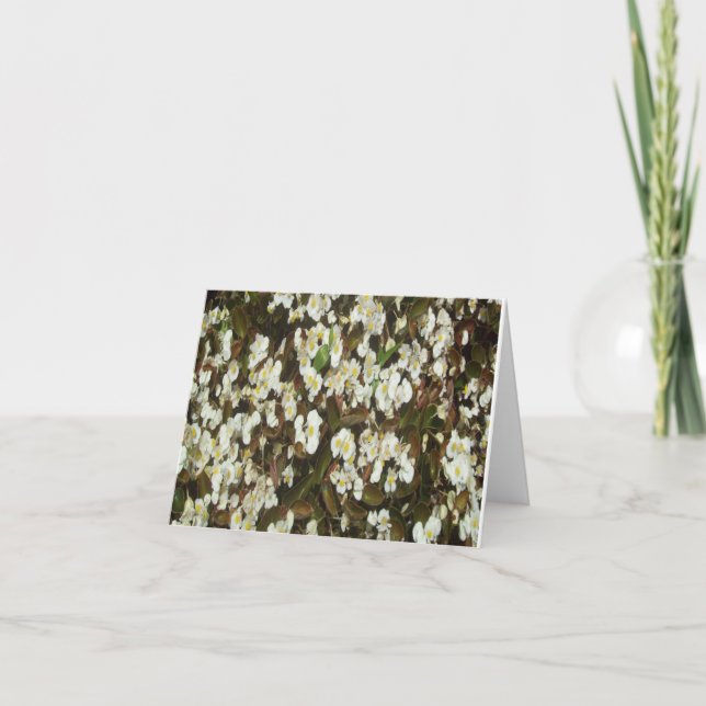 White Begonia Photo Folded Note Card (Front)