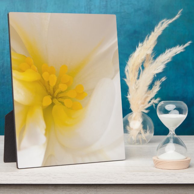 White Begonia Plaque (Side)