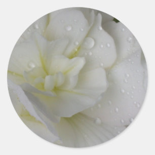 White Begonia Wedding Sticker