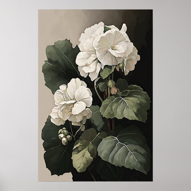 White Begonias Flower Art Print Poster (Front)
