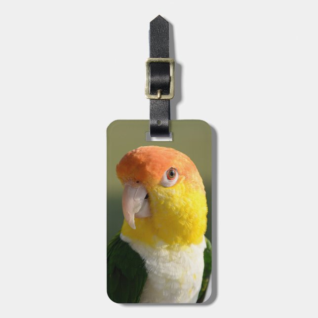 White Bellied Caique Parrot Luggage Tag (Front Vertical)