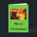White Bellied Caique Parrot Merry Christmas Holiday Card<br><div class="desc">White Bellied Caique Parrot in front of a Christmas Tree wishing you a very Merry Christmas and a Happy New Year on your Greeting Card.</div>