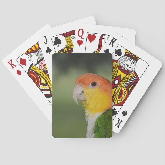 White Bellied Caique Parrot Outdoors Playing Cards (Back)