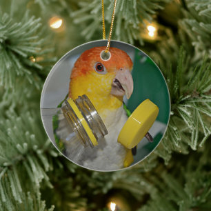 White Bellied Caique Parrot Playing Ceramic Tree Decoration