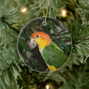 White Bellied Caique Parrot with Bamboo Tree Ceramic Tree Decoration