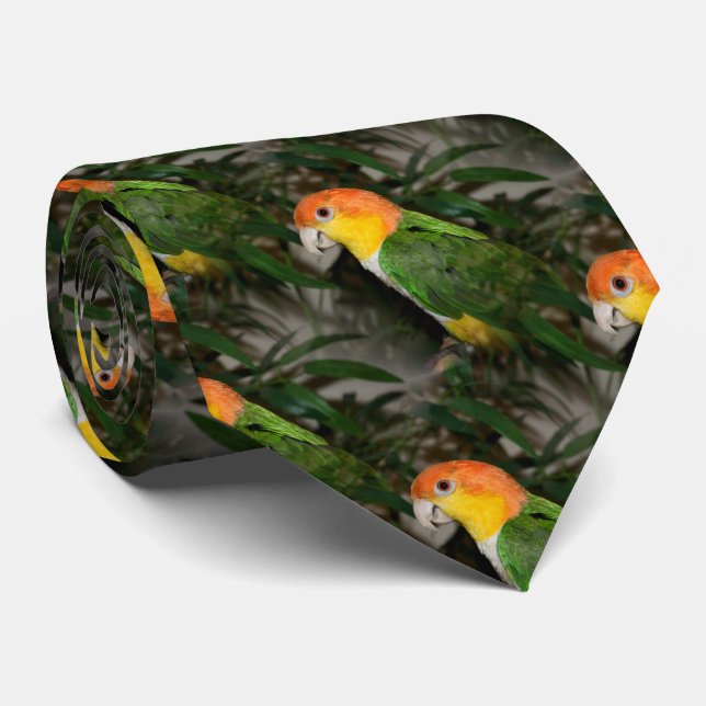 White Bellied Caique Parrot with Bamboo Tree Tie (Rolled)
