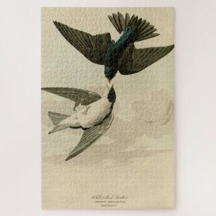 White-bellied (Tree) Swallow - Audubon's Birds Jigsaw Puzzle