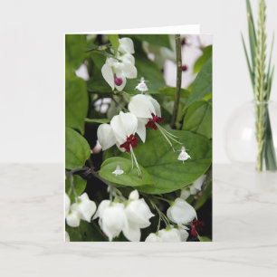 White Bells Shadow Fairies Card