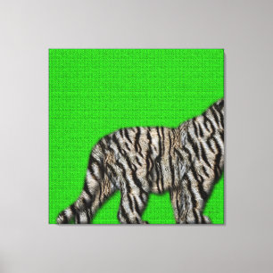 White Bengal Tiger: Furry Bottom on Green Canvas Print