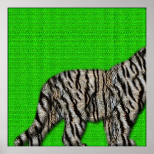 White Bengal Tiger: Furry Bottom on Green Poster