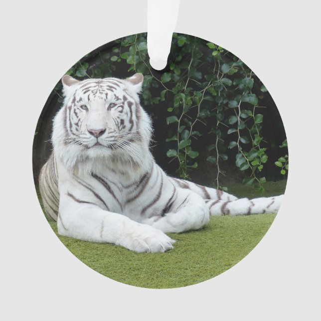 white bengal tiger ornament (Front)