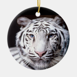 White Bengal Tiger Photography Ceramic Tree Decoration