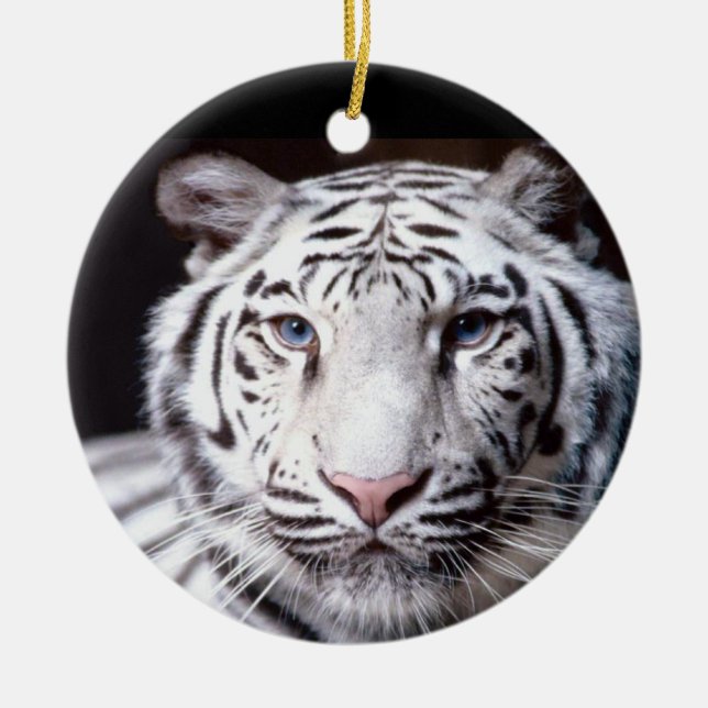 White Bengal Tiger Photography Ceramic Tree Decoration (Front)
