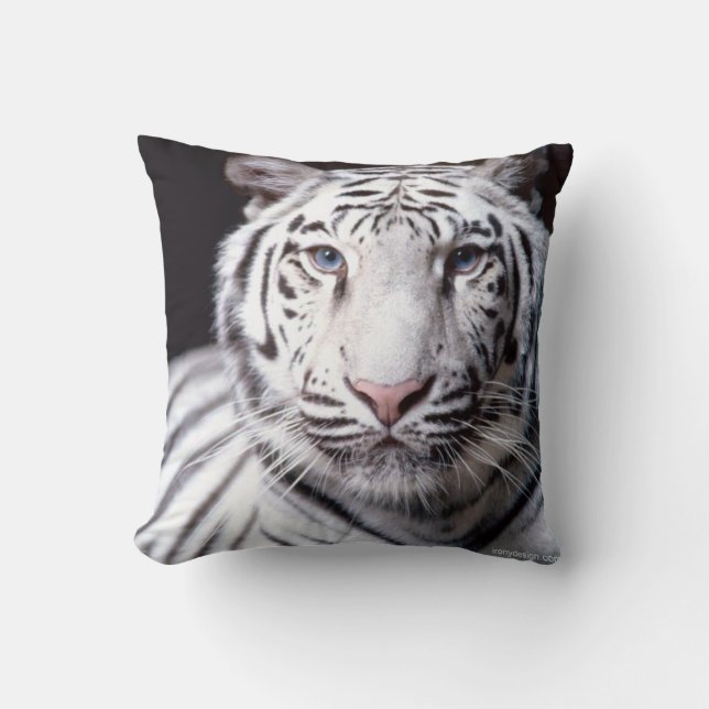 White Bengal Tiger Photography Cushion (Front)