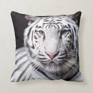 White Bengal Tiger Photography Cushion
