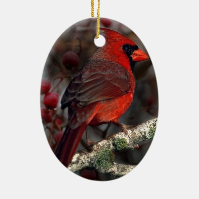 White Berries Primitive Christmas Red Cardinal Ceramic Tree Decoration (Back)