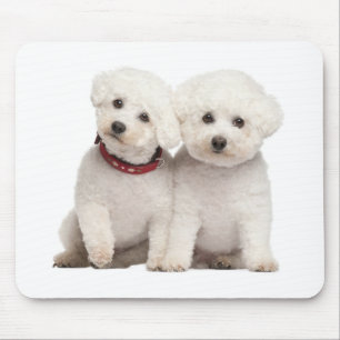 White Bichon Frise Puppy Dog Computer Mousepad