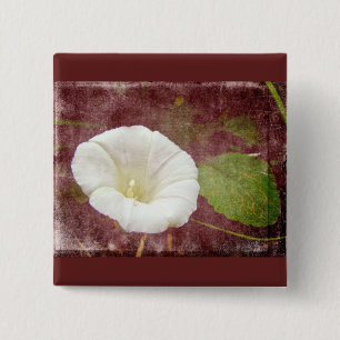 White Bindweed - The Wild Perennial Morning Glory 15 Cm Square Badge