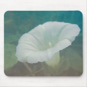 White Bindweed - The Wild Perennial Morning Glory Mouse Mat