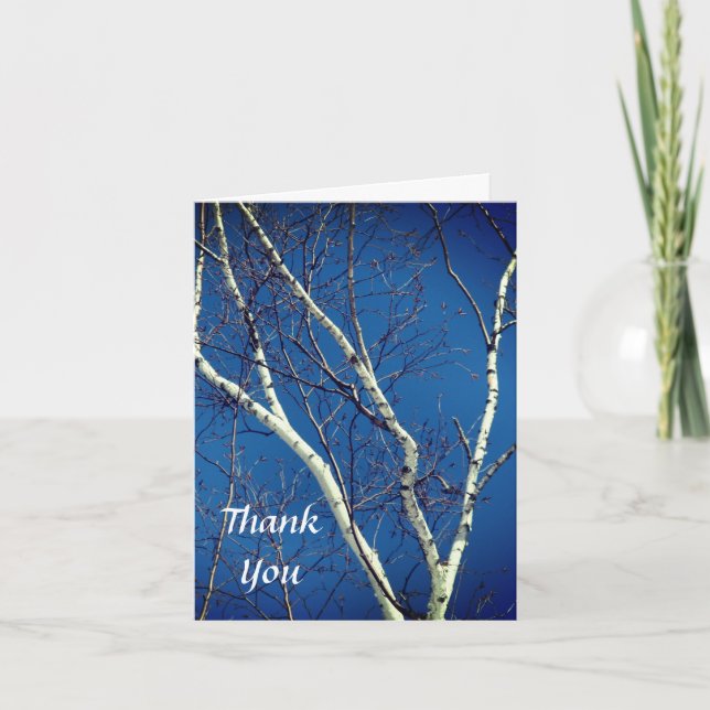 White Birch Blue Sky Nature Thank You Card (Front)