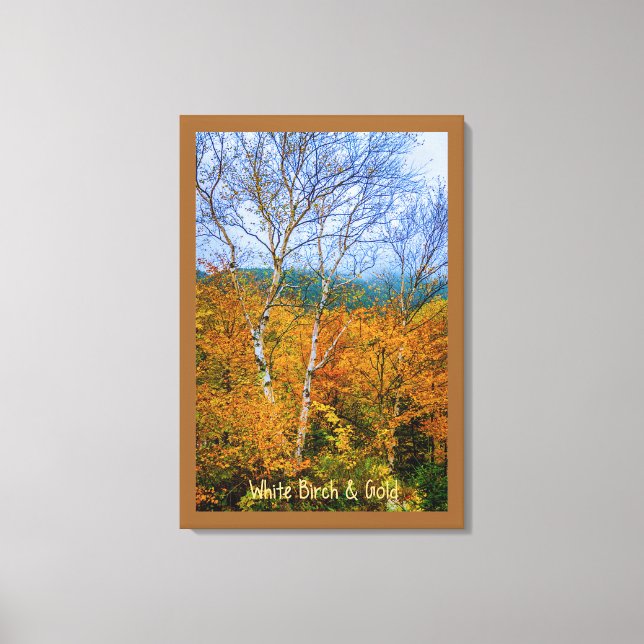 White Birch & Gold Canvas Print (Front)