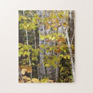 White Birch in Autumn Jigsaw Puzzle