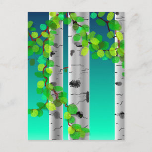 White Birch Postcard